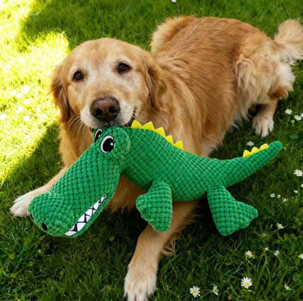 Durable Plush Pet Toy Dinosaur