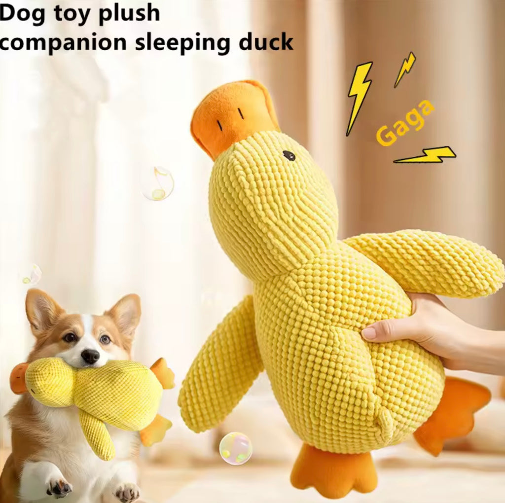 Pet Plush Duck Toy – Squeaky