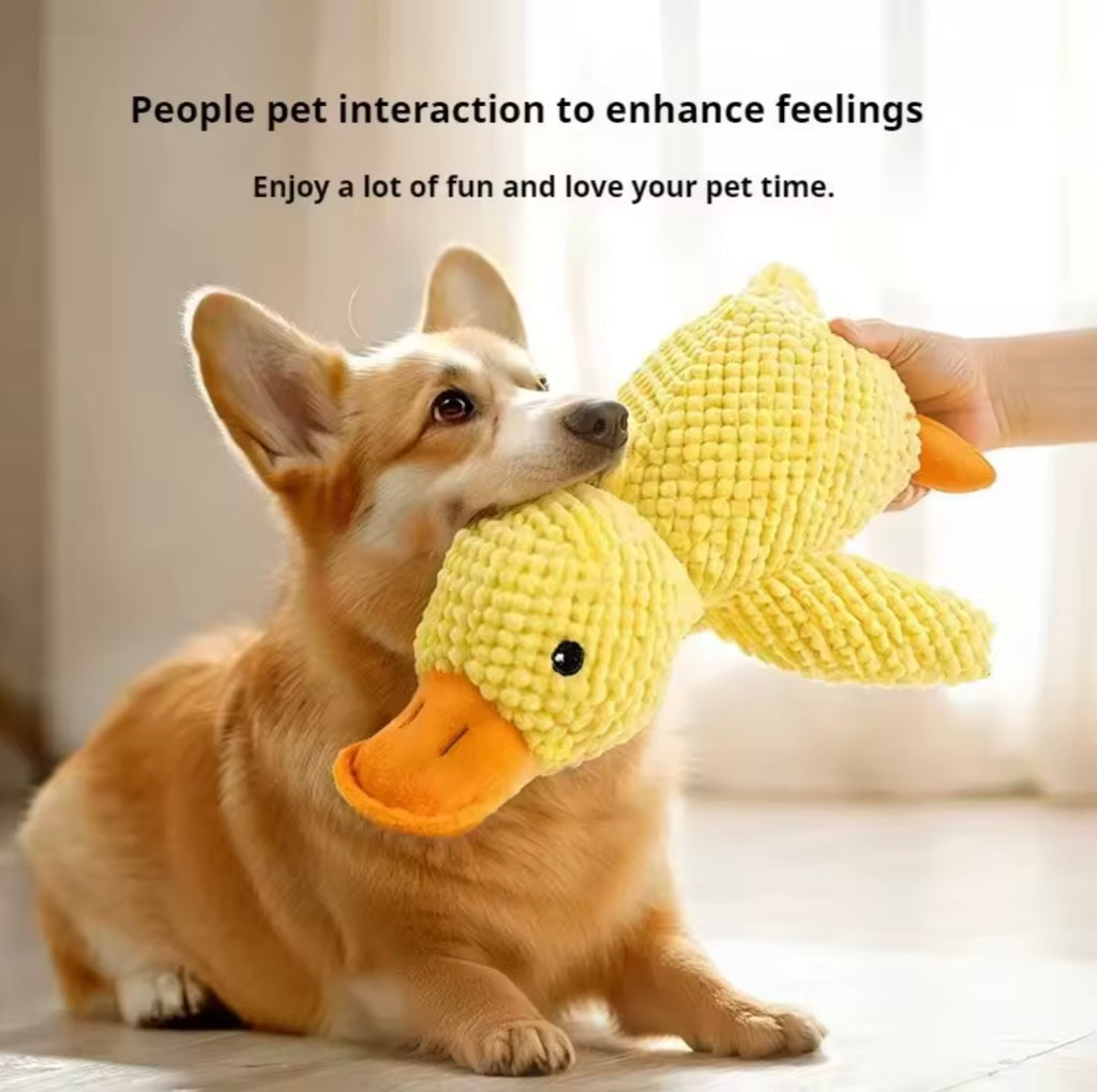 Pet Plush Duck Toy – Squeaky