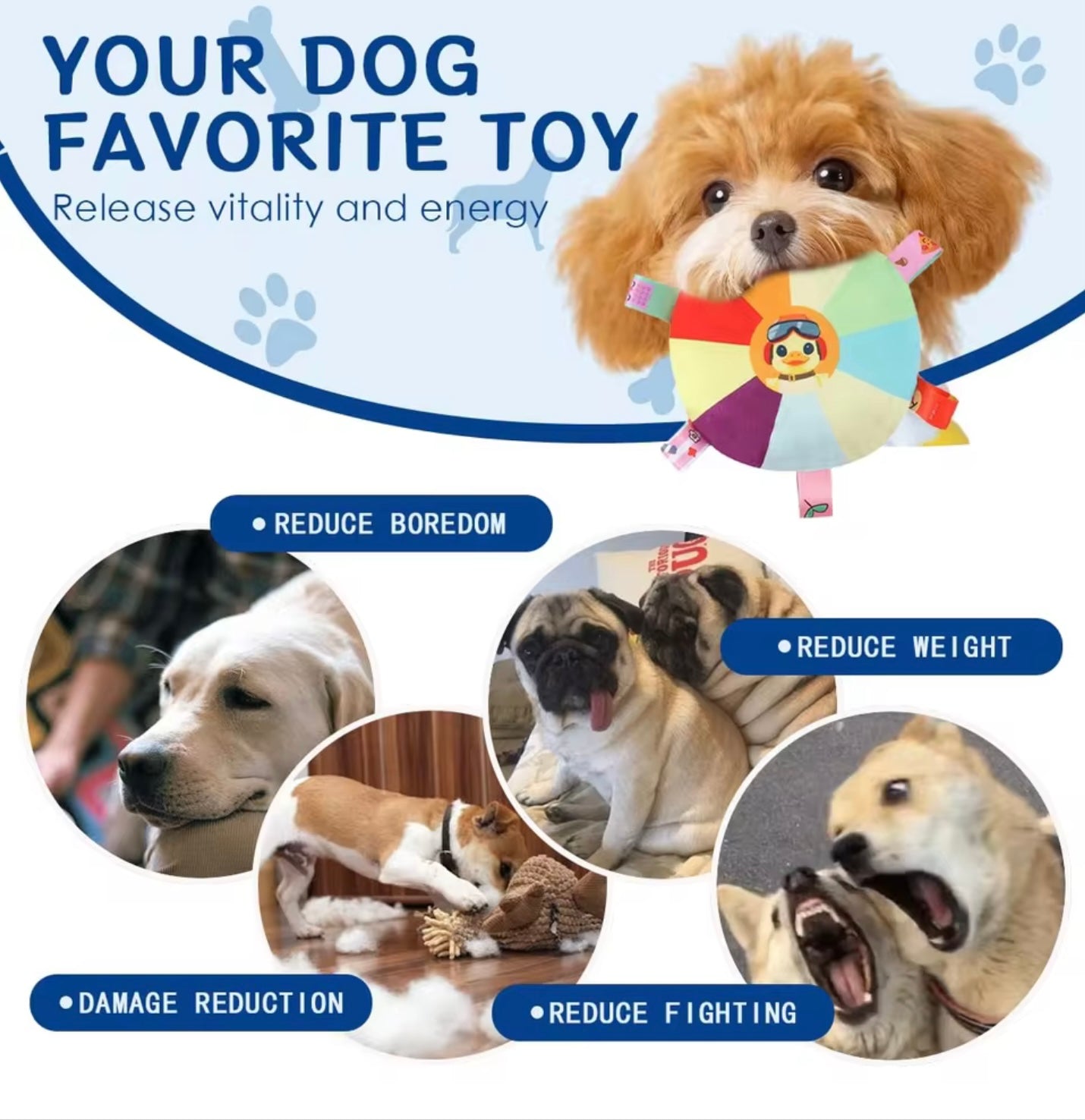Soft Animal Plush Dog Toy – Chew & Molar Training