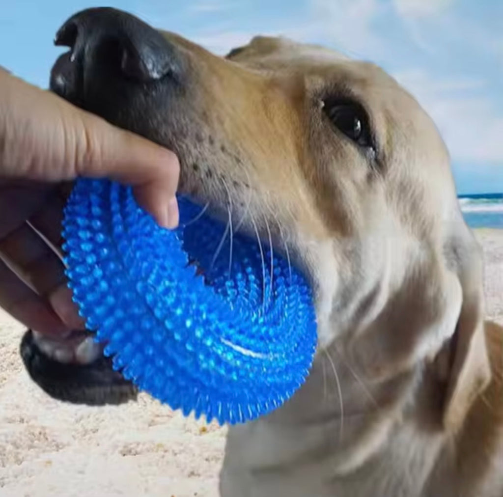 Puppy Chew Ring – Non-Toxic TPR Rubber