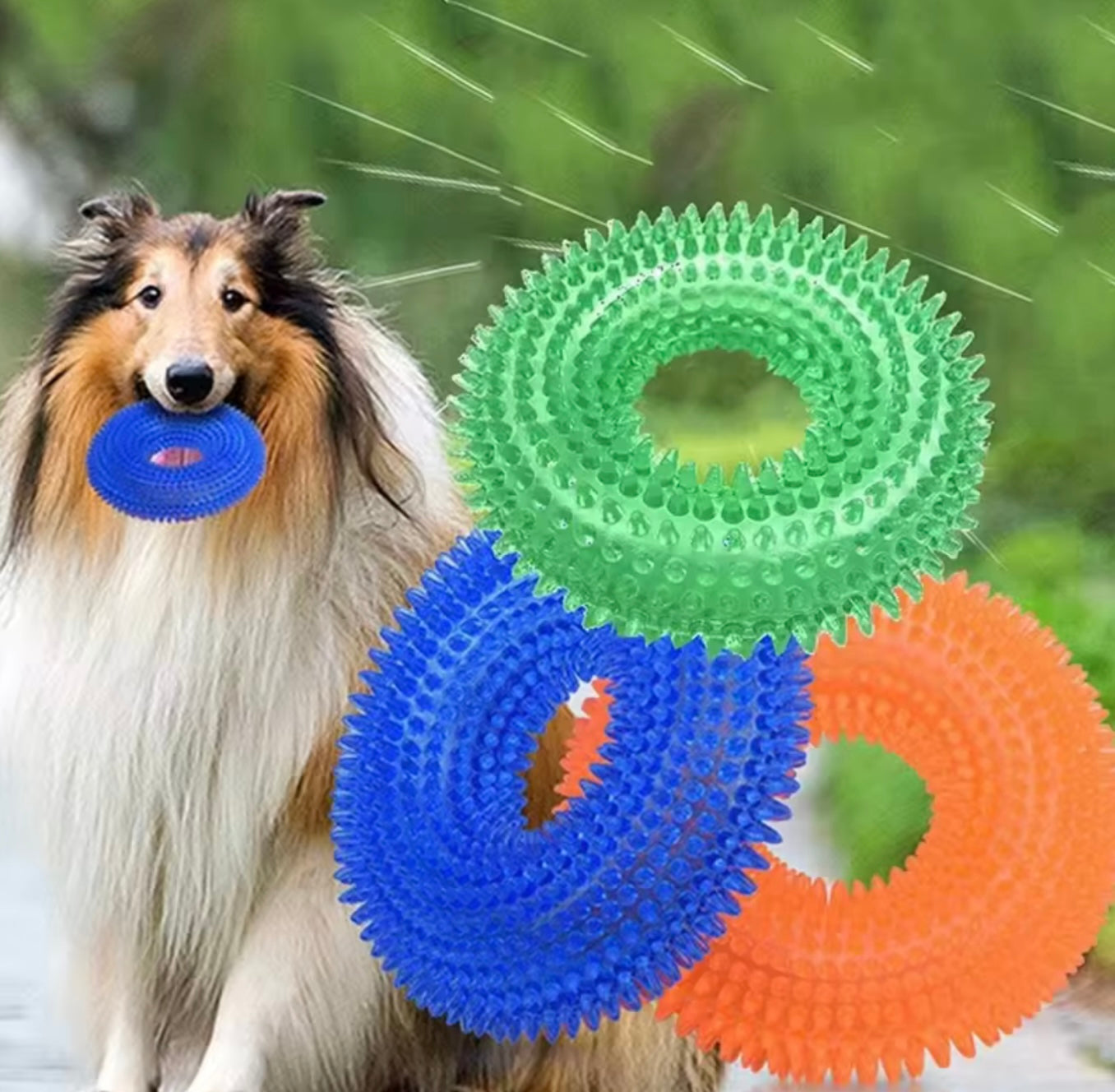 Puppy Chew Ring – Non-Toxic TPR Rubber
