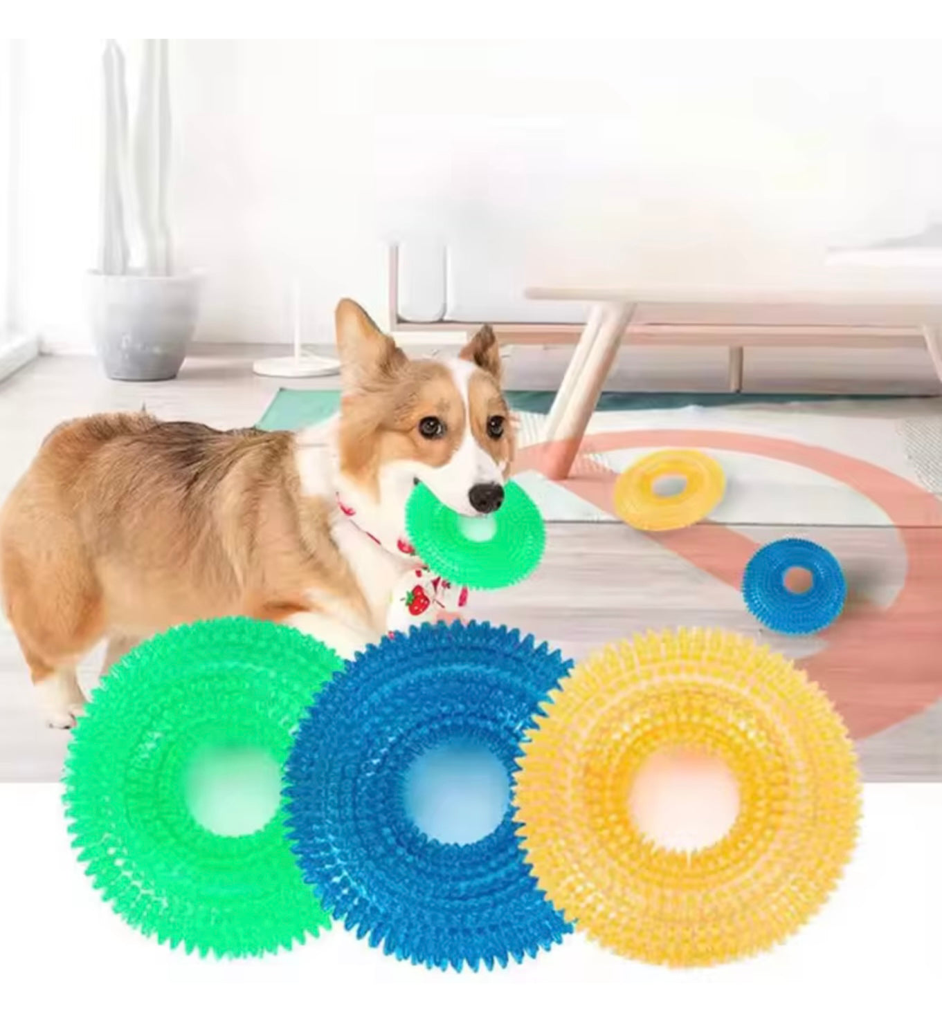 Puppy Chew Ring – Non-Toxic TPR Rubber