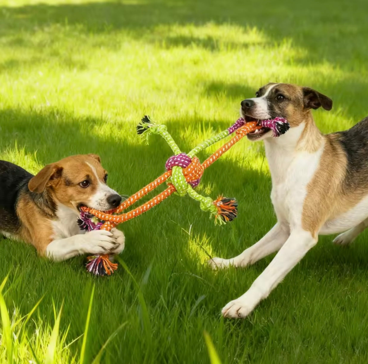 Chewable Knot Rope Dog Toy