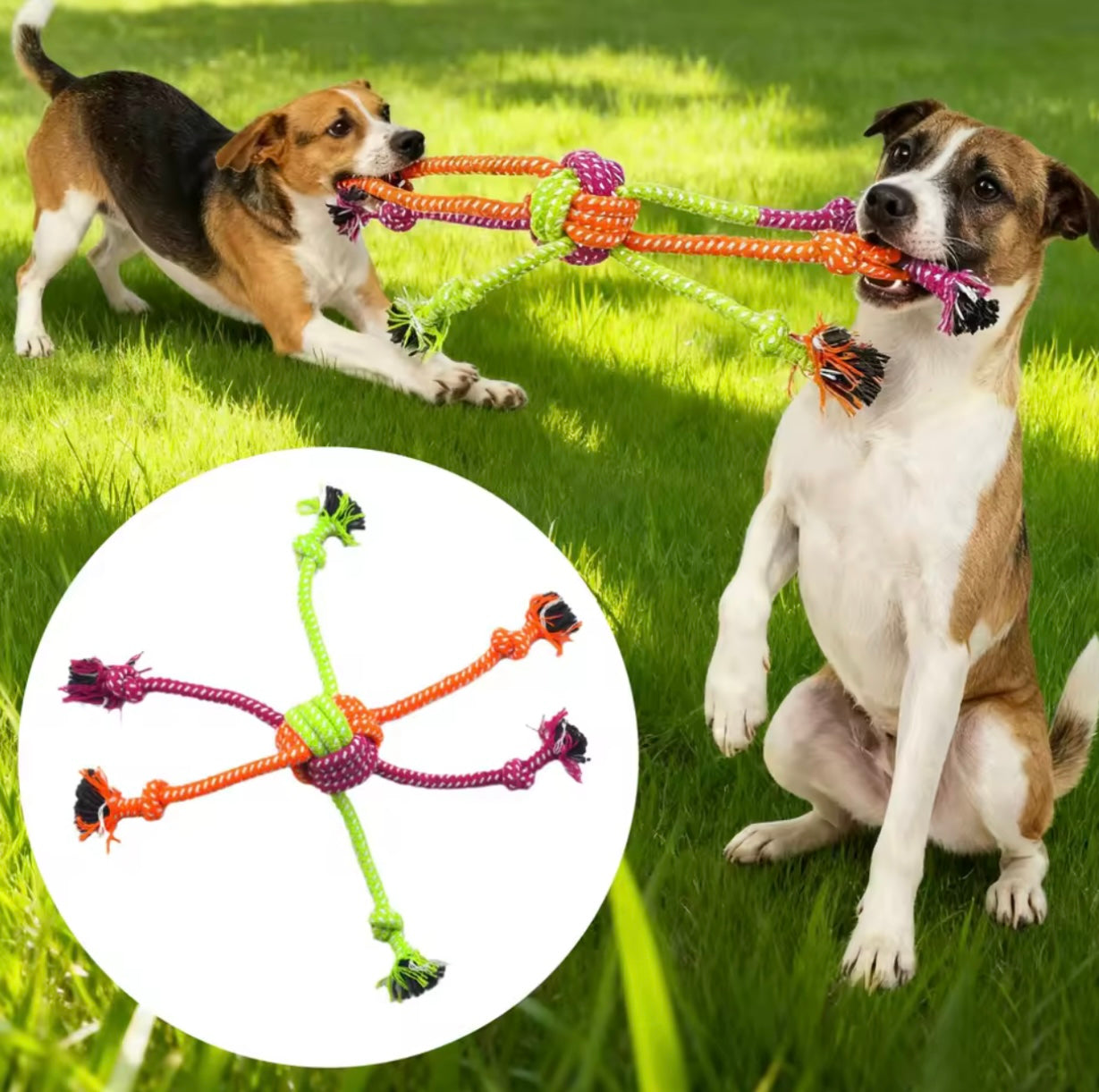 Chewable Knot Rope Dog Toy