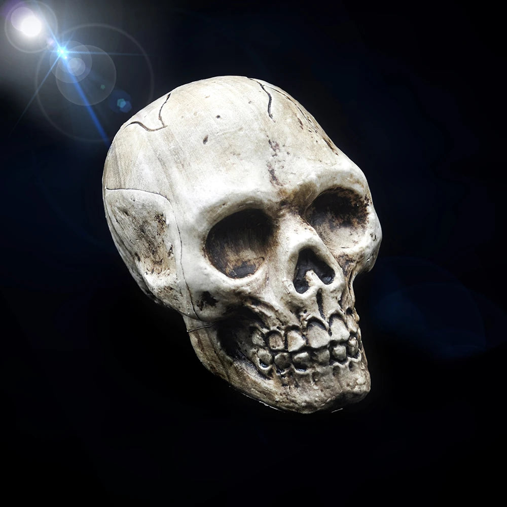 Halloween Decorative Skull