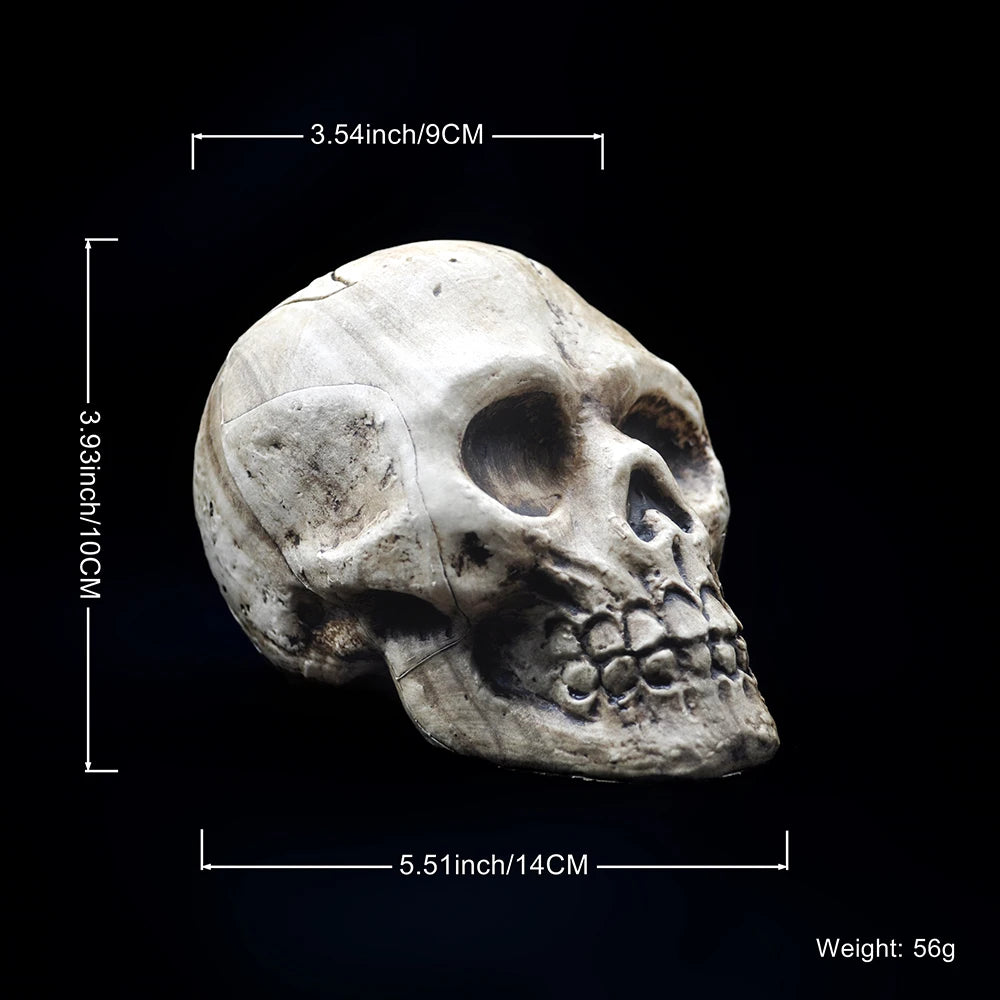 Halloween Decorative Skull