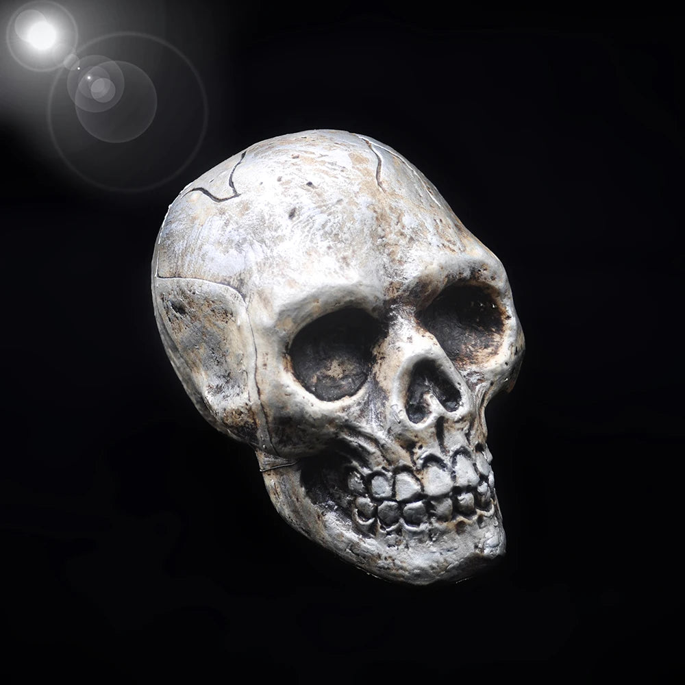Halloween Decorative Skull