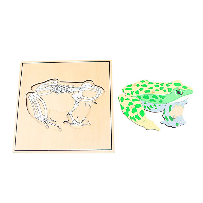 Educational Animal Puzzle Set
