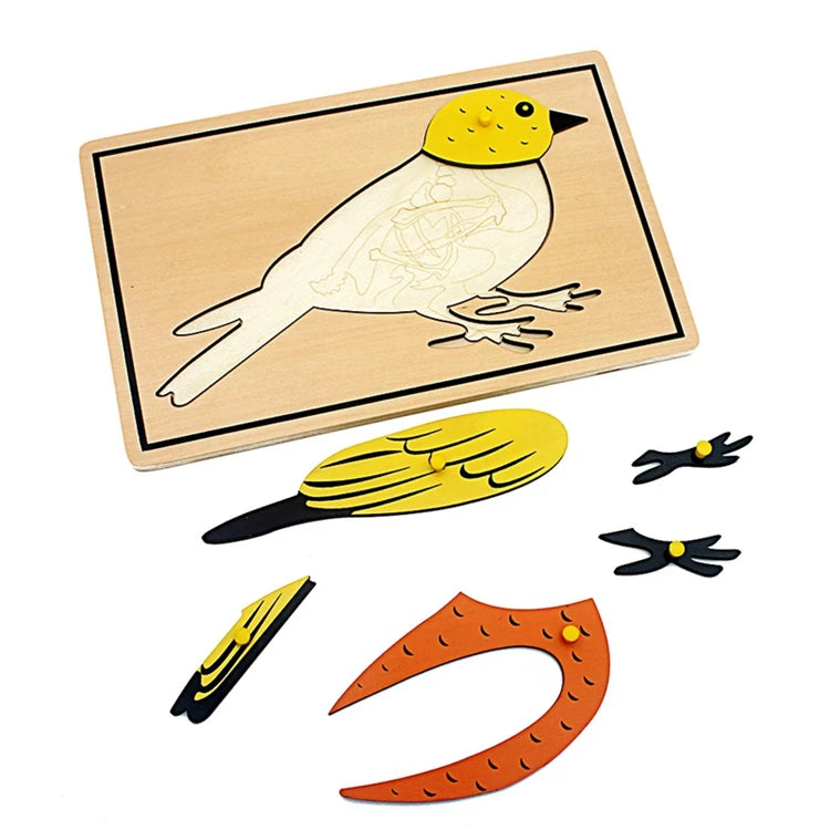 Educational Animal Puzzle Set