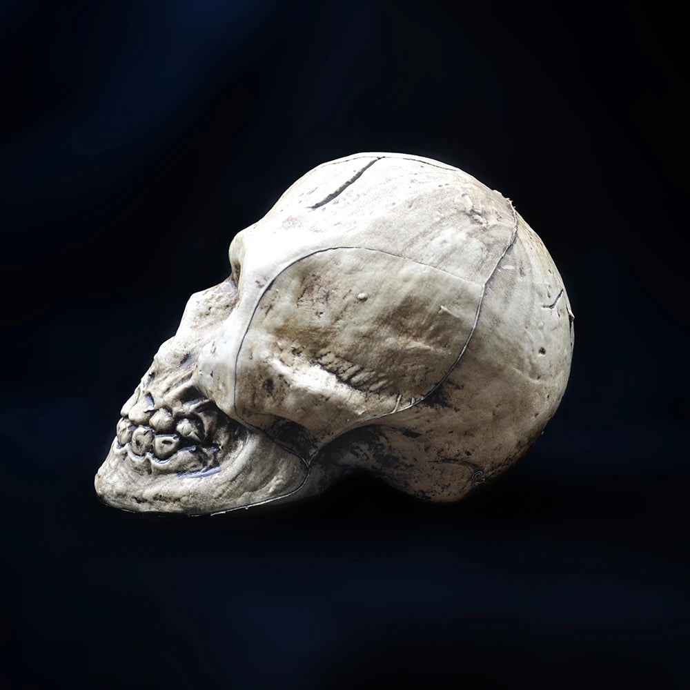 Halloween Decorative Skull