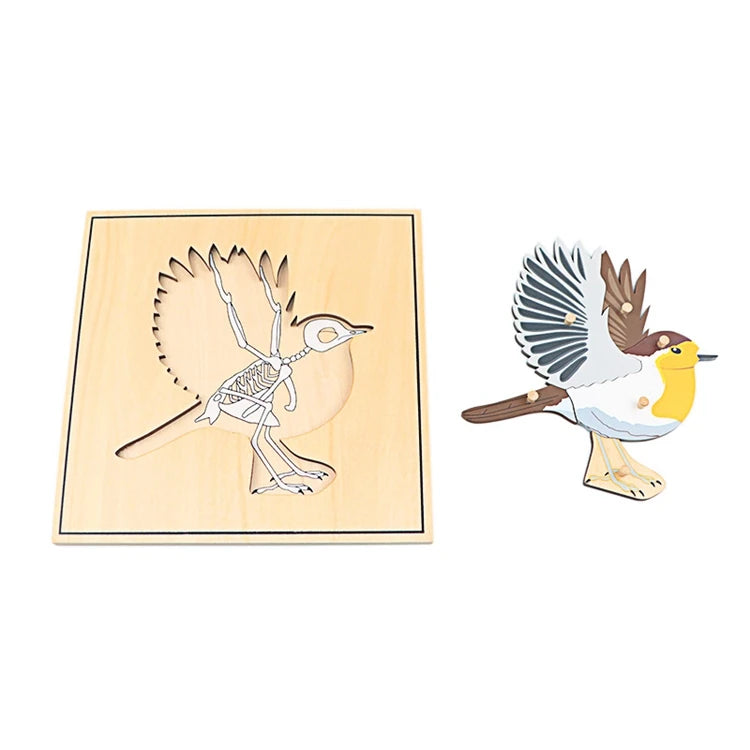 Educational Animal Puzzle Set