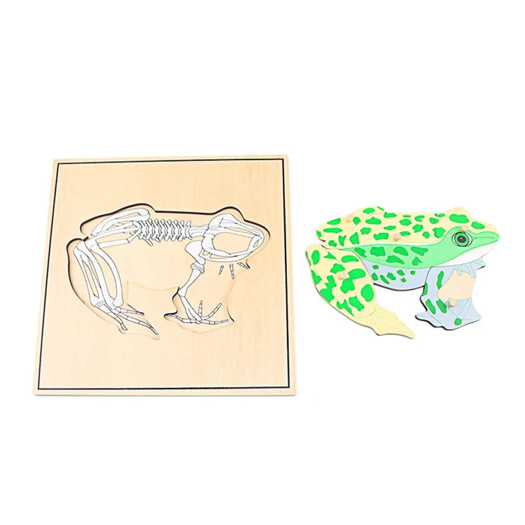 Educational Animal Puzzle Set