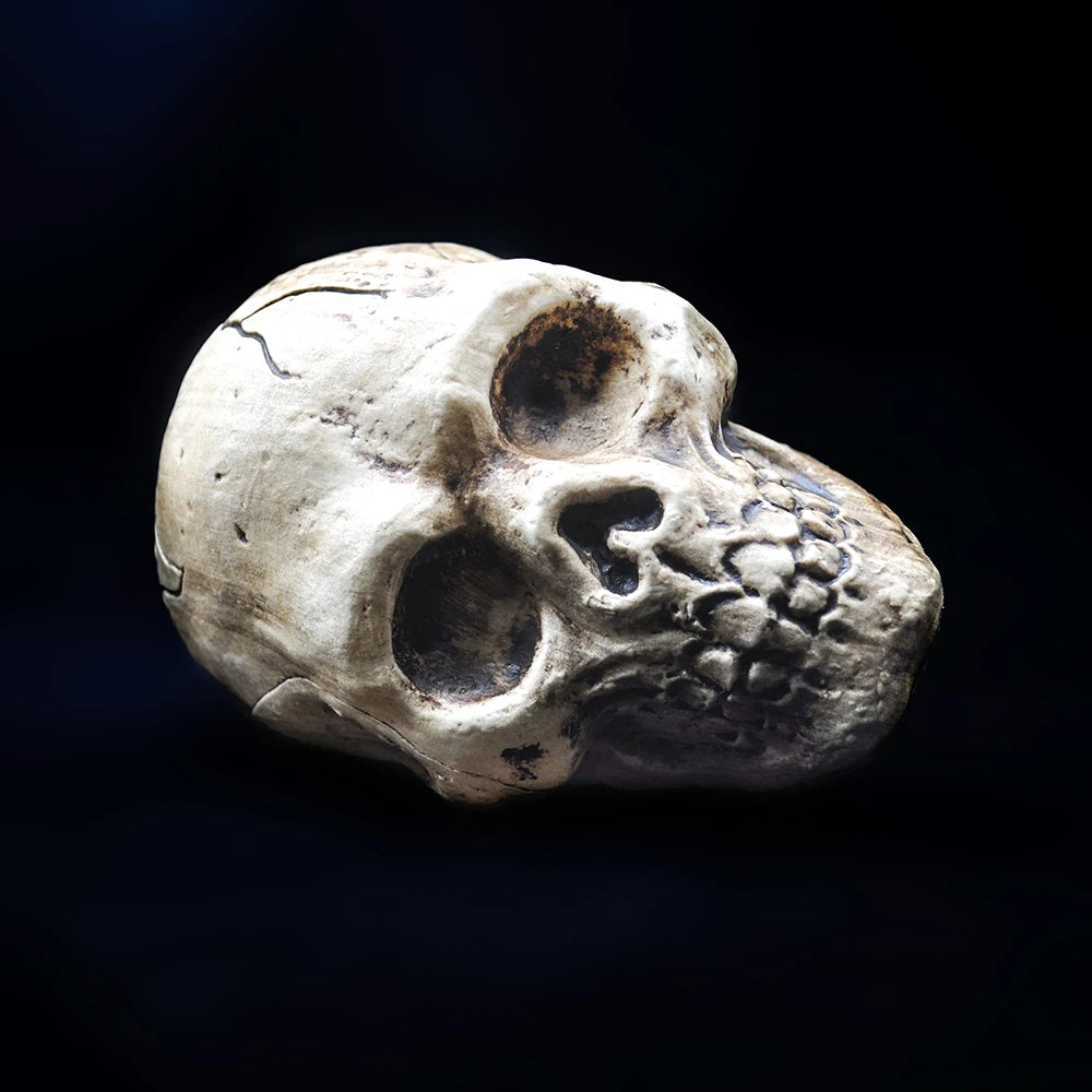 Halloween Decorative Skull