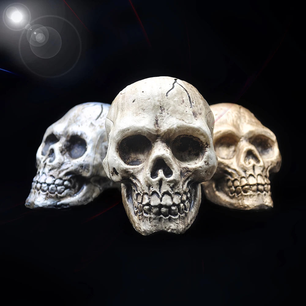 Halloween Decorative Skull