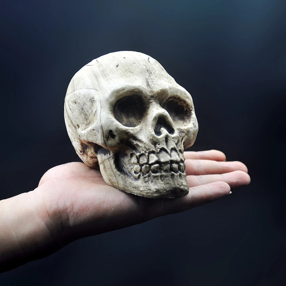 Halloween Decorative Skull