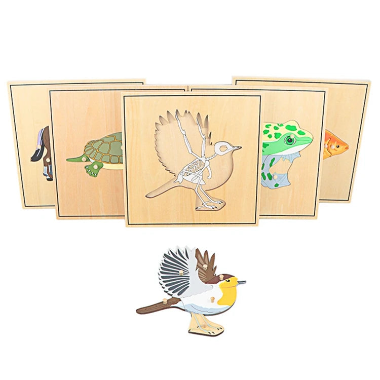 Educational Animal Puzzle Set