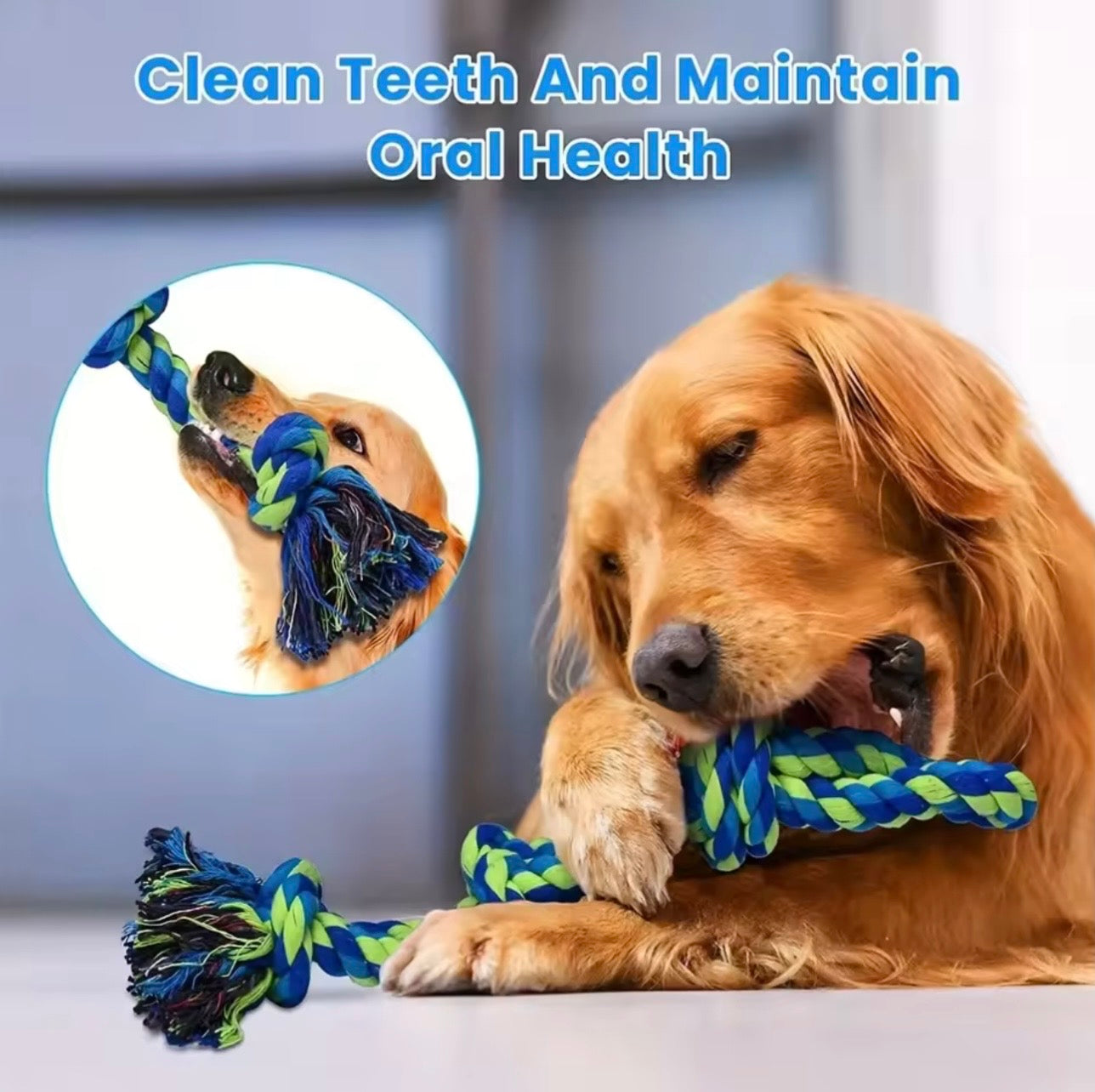 Knot Dog Toys – Indestructible & Durable