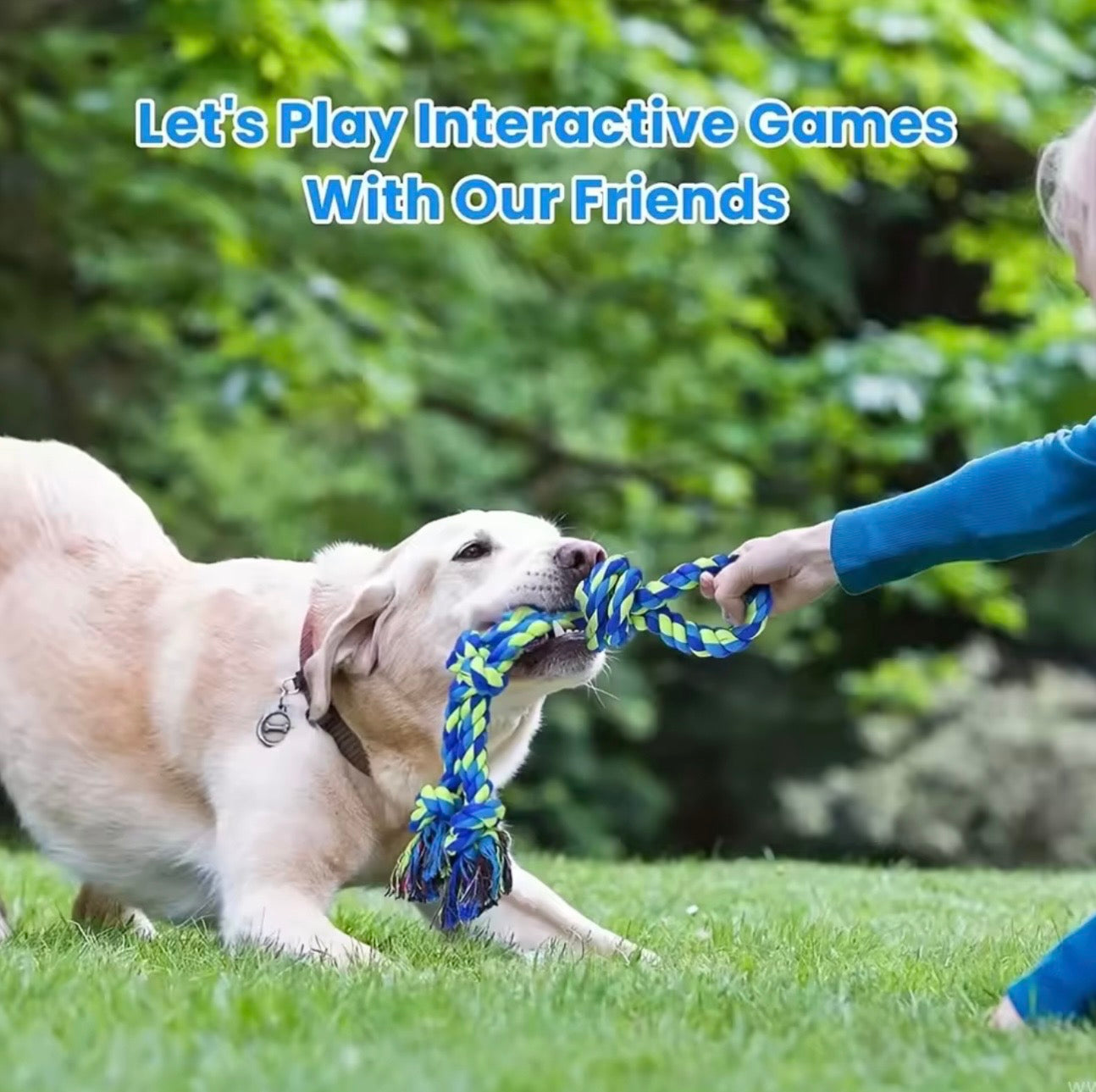 Knot Dog Toys – Indestructible & Durable