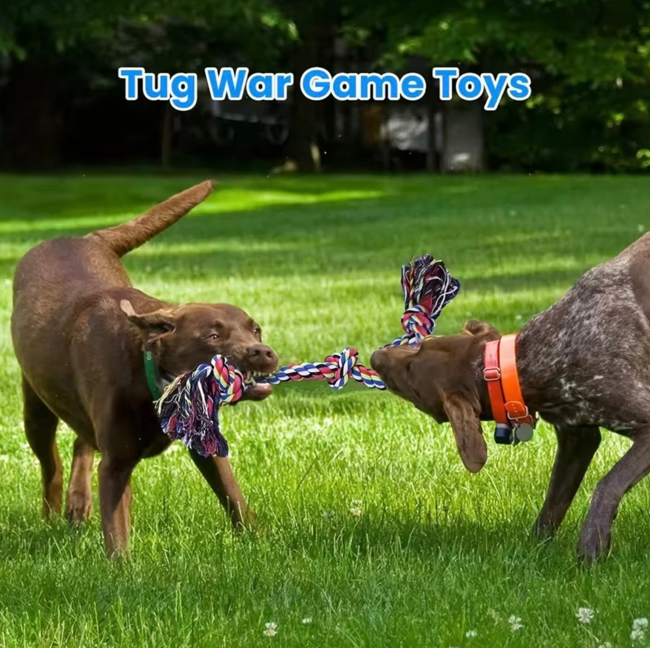 Knot Dog Toys – Indestructible & Durable