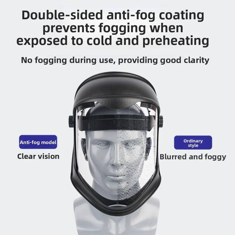 Full Face Safety Mask