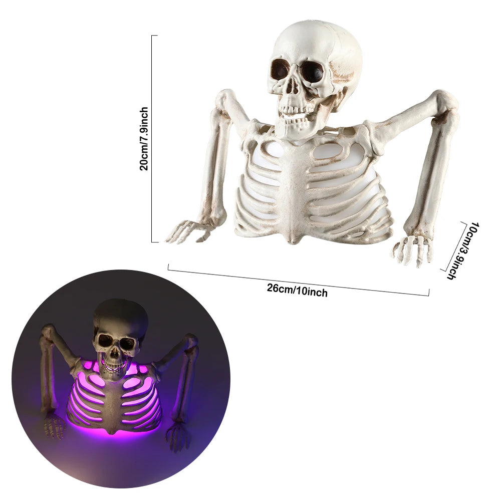 Halloween Light-Up Skeleton Torso