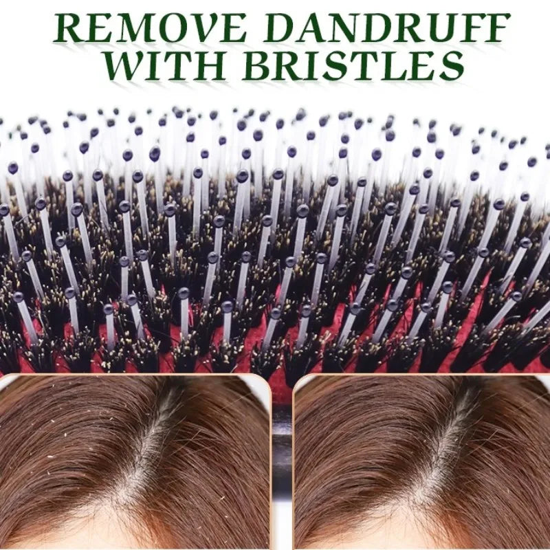 Boar Bristle Hair Brush - Detangle