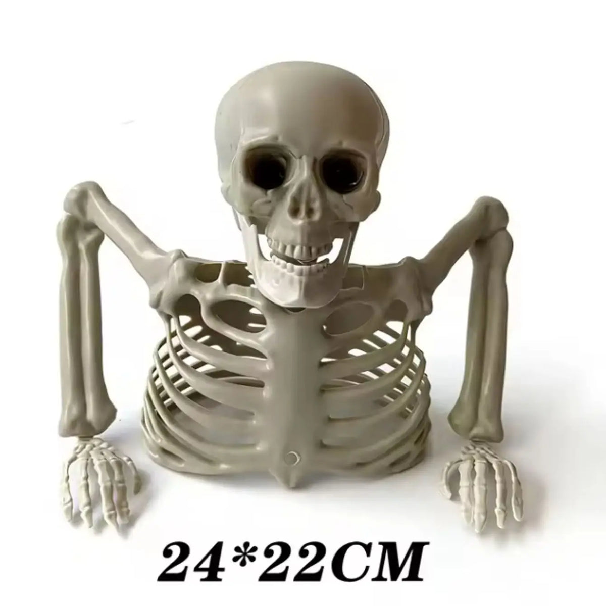 Halloween Half-Skeleton Decoration