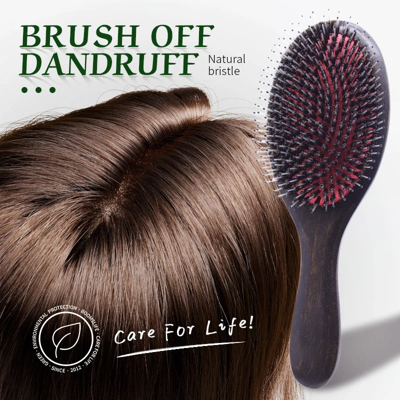Boar Bristle Hair Brush - Detangle