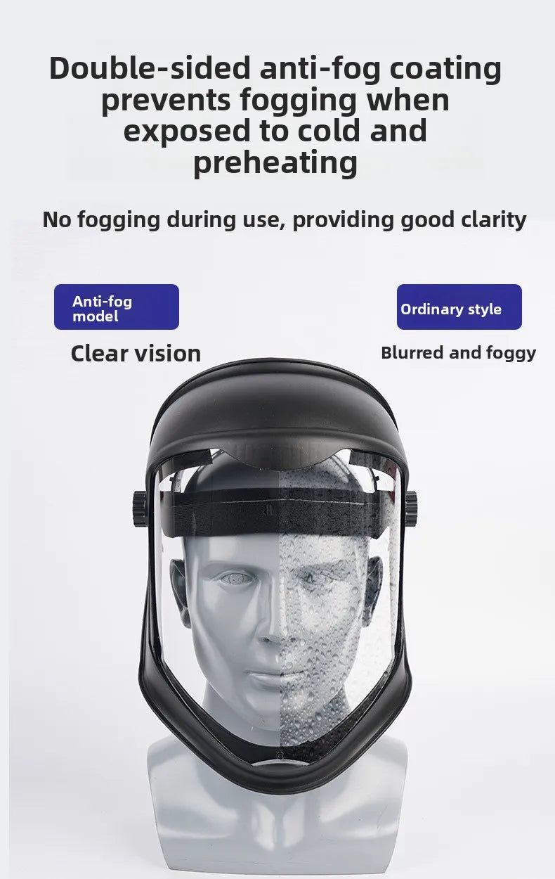 Full Face Safety Mask