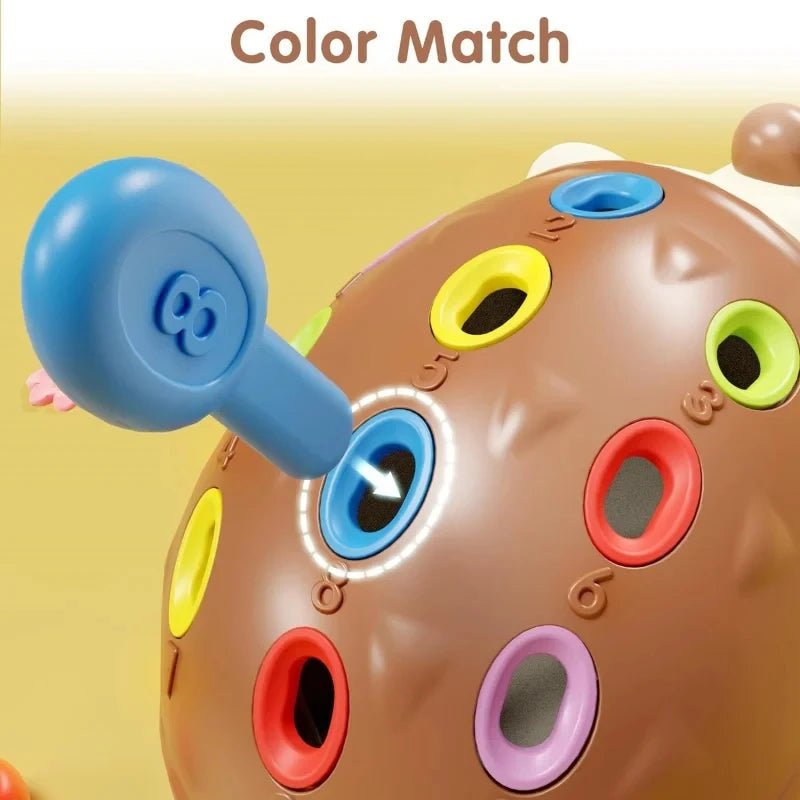 Toddle fun memory Hedgehog Toy