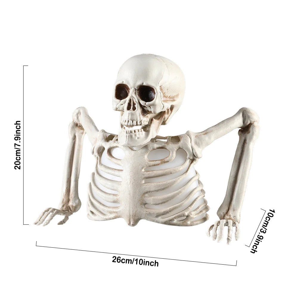 Halloween Light-Up Skeleton Torso