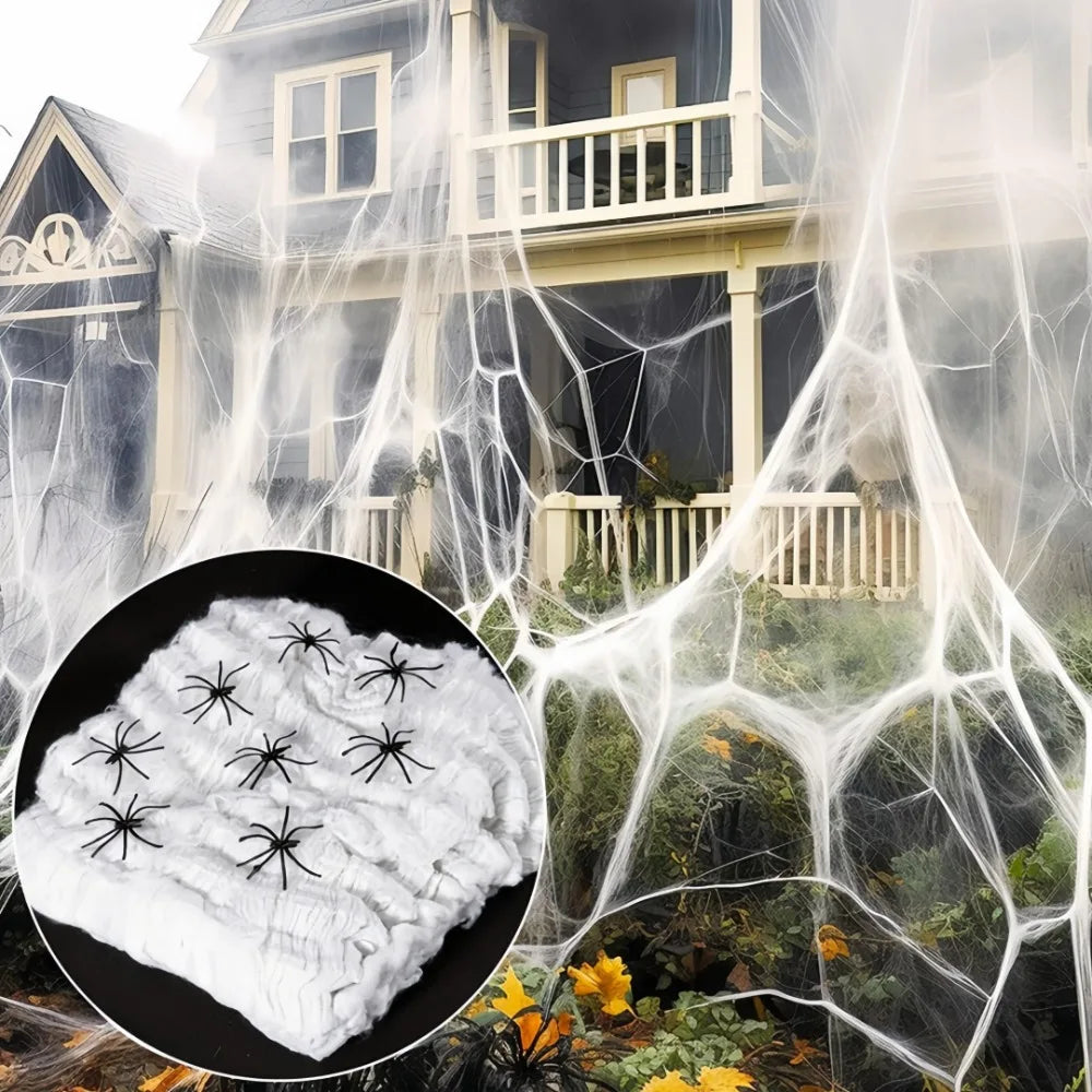 Halloween Stretch Spider Web