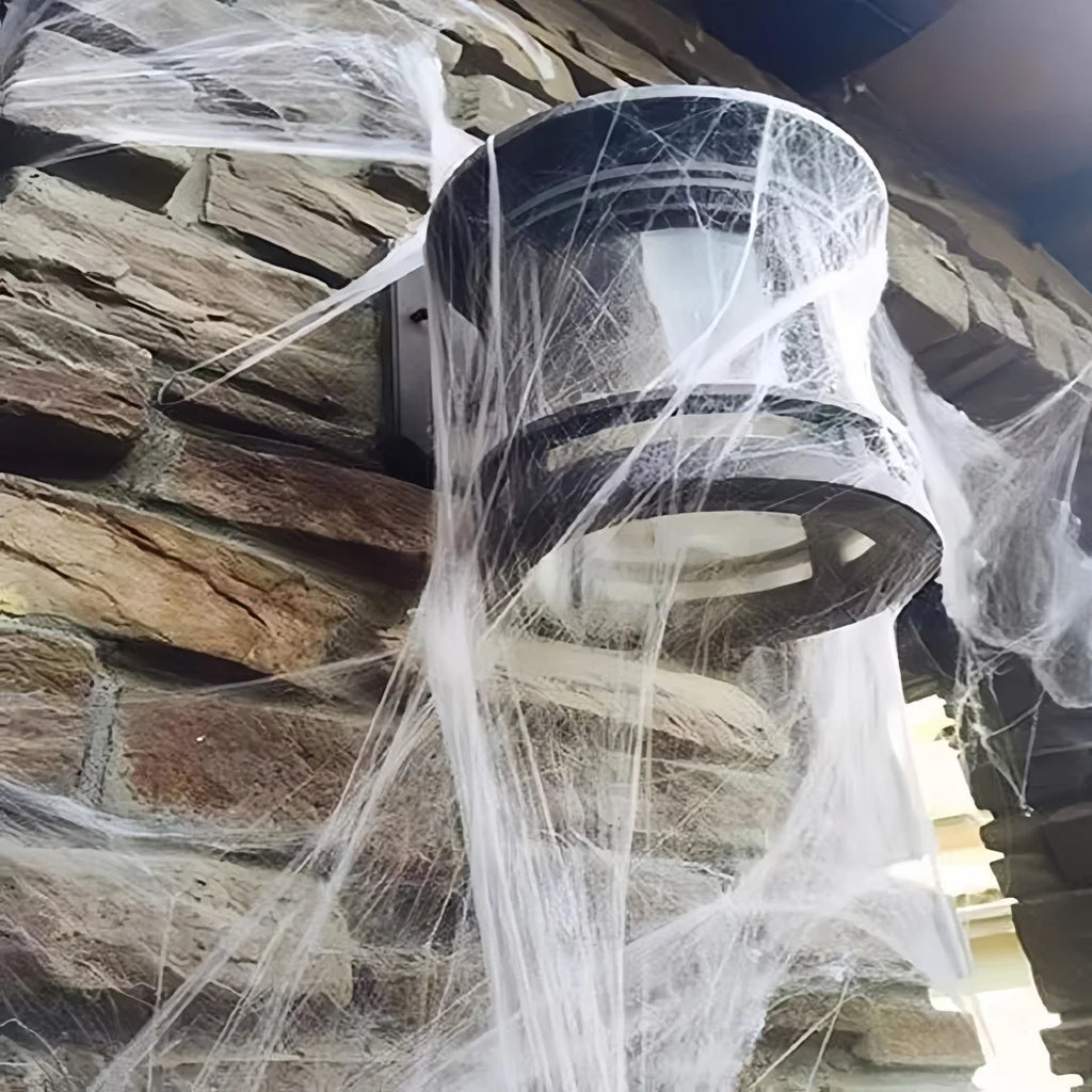 Halloween Stretch Spider Web