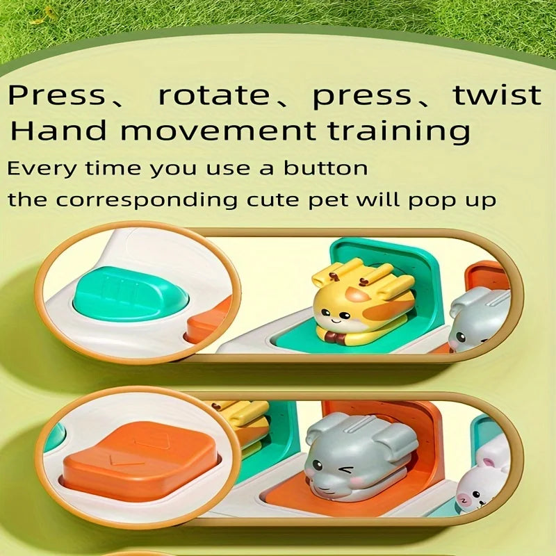 Kids Pop-Up Animal Learning Box
