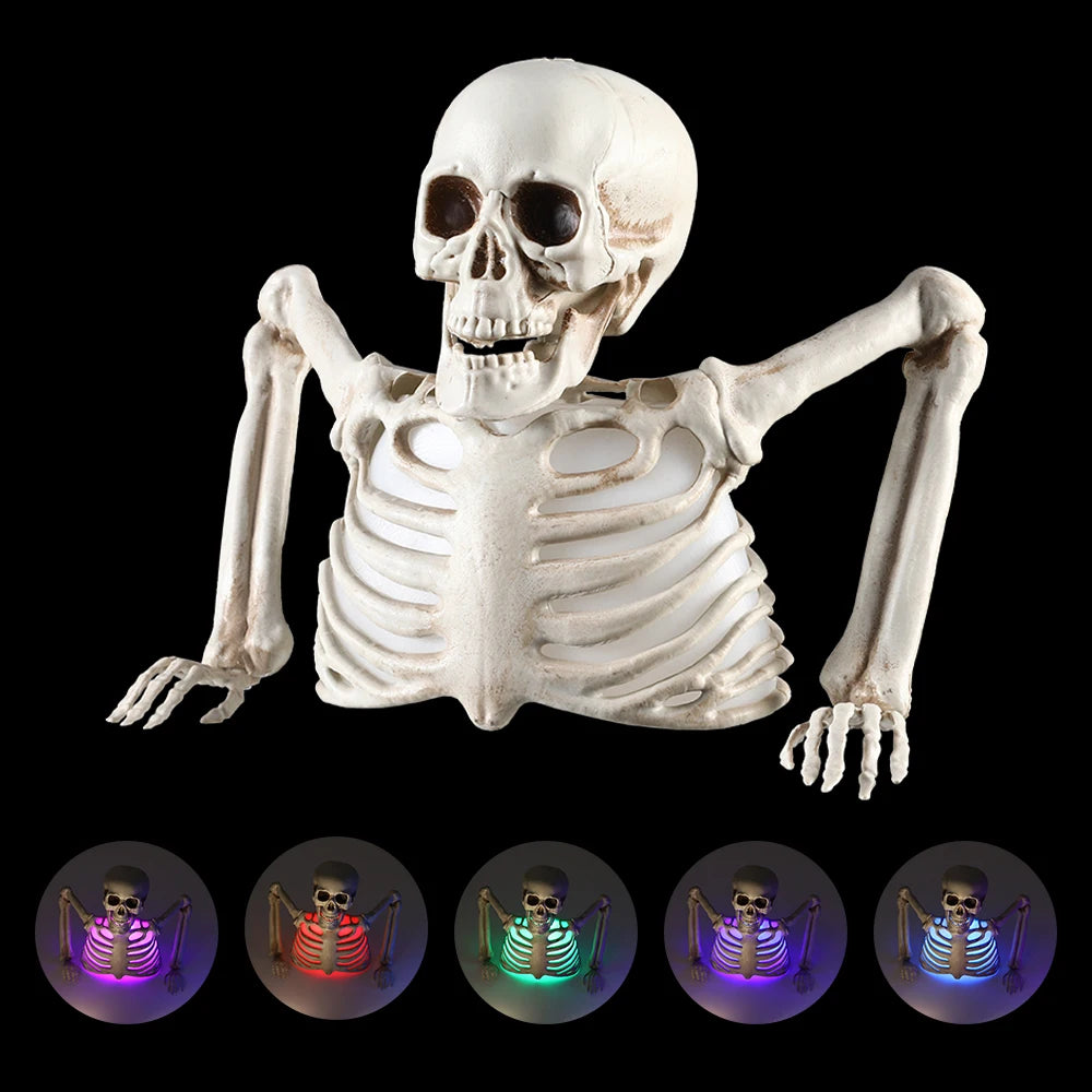 Halloween Light-Up Skeleton Torso