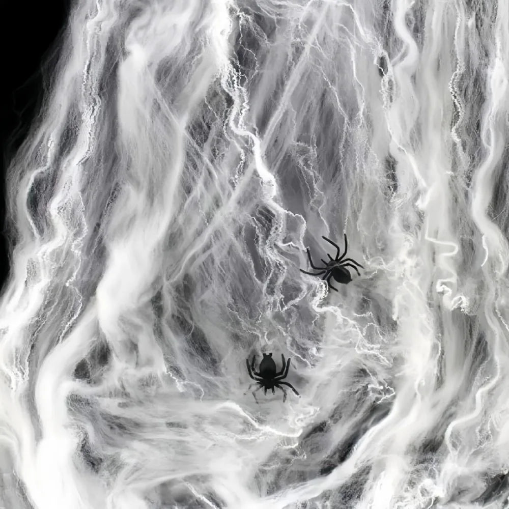 Halloween Stretch Spider Web