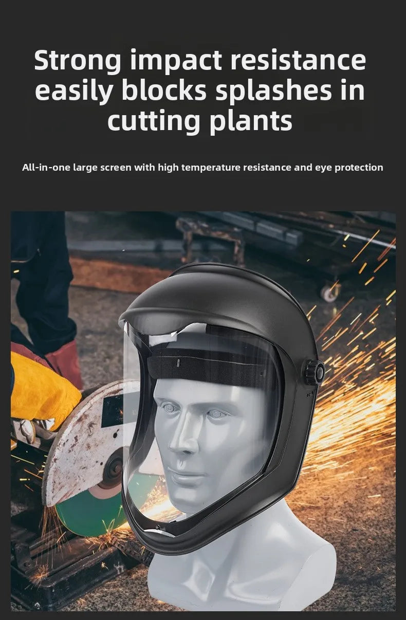 Full Face Safety Mask