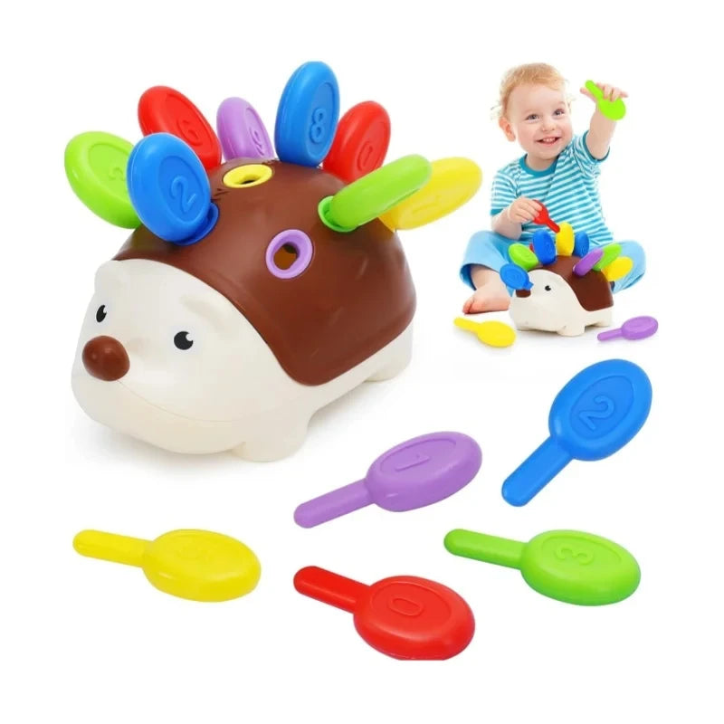 Toddle fun memory Hedgehog Toy