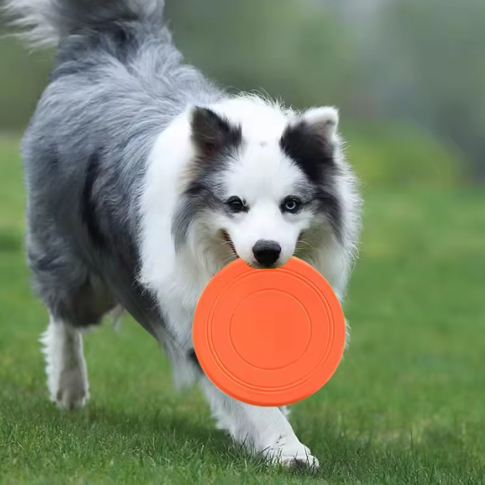 Durable Pet Training Frisbee – Soft Rubber