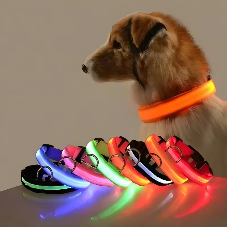 LED Nylon Dog Collar – Night Safety