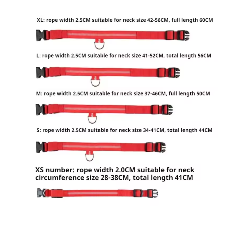 LED Nylon Dog Collar – Night Safety