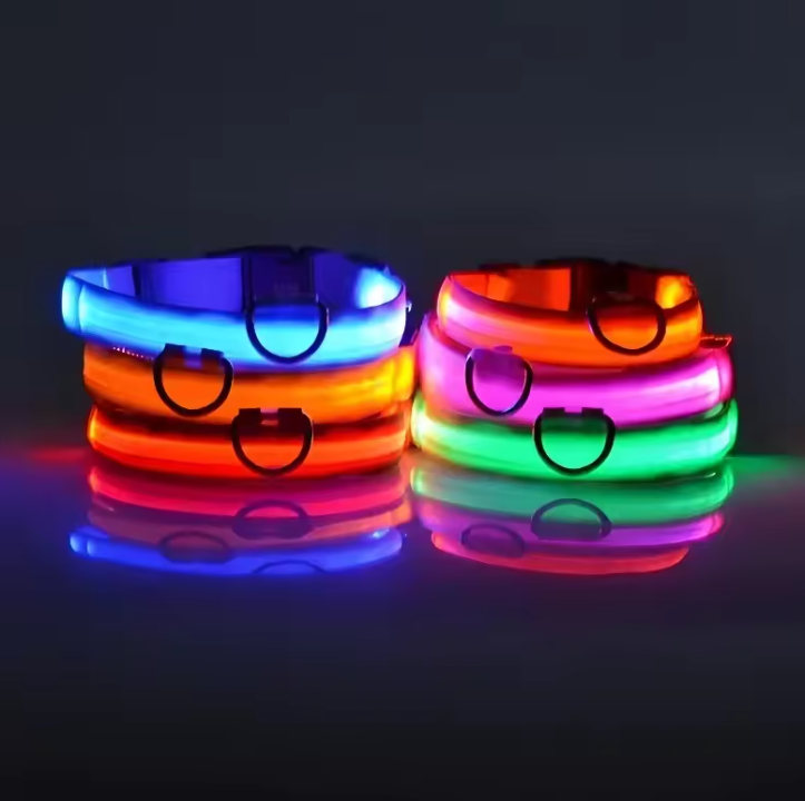 LED Nylon Dog Collar – Night Safety
