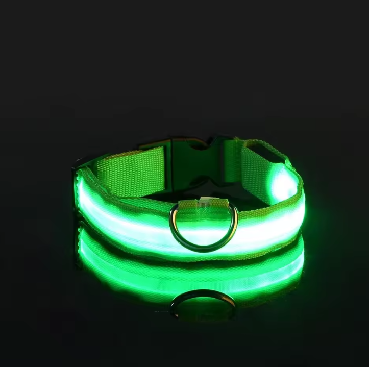 LED Nylon Dog Collar – Night Safety