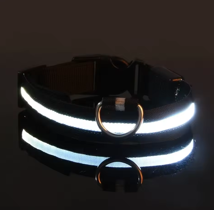LED Nylon Dog Collar – Night Safety
