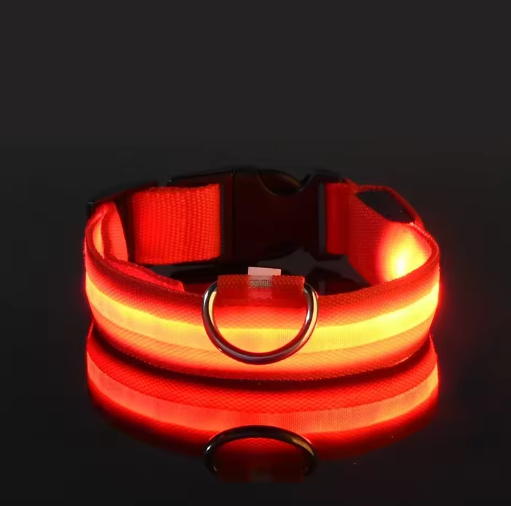 LED Nylon Dog Collar – Night Safety