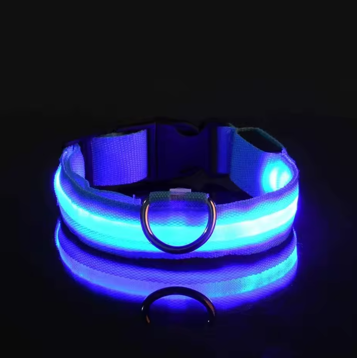 LED Nylon Dog Collar – Night Safety