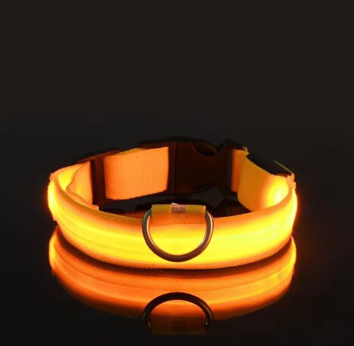 LED Nylon Dog Collar – Night Safety