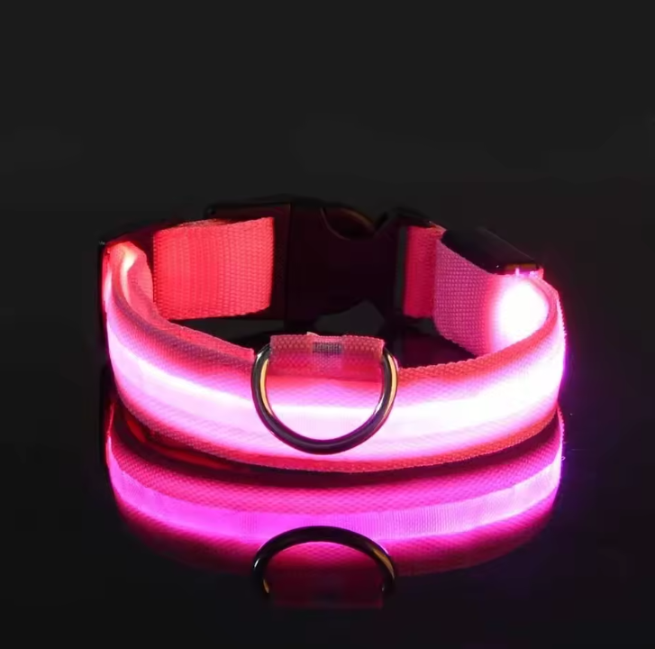 LED Nylon Dog Collar – Night Safety