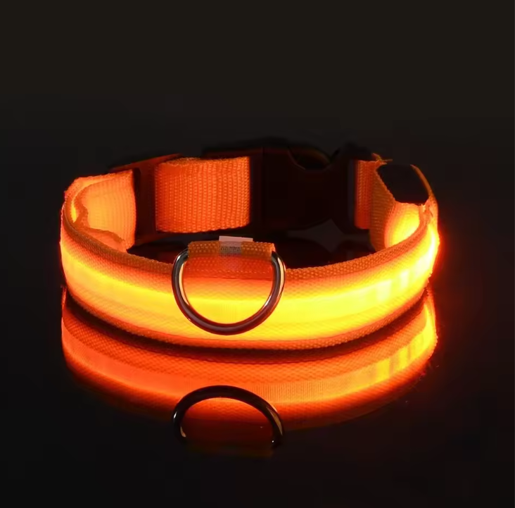 LED Nylon Dog Collar – Night Safety
